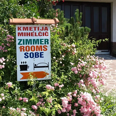 Mihelcic * Постойна