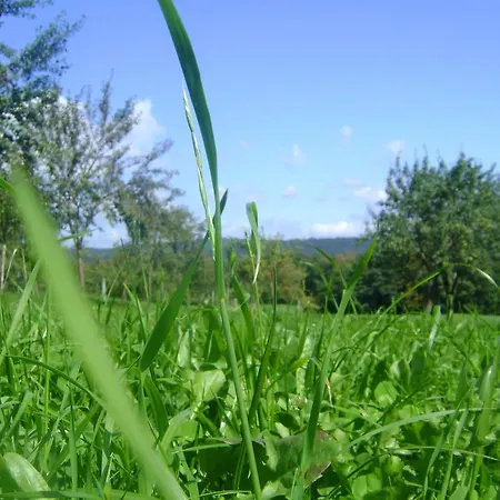Фермерский дом Mihelcic *